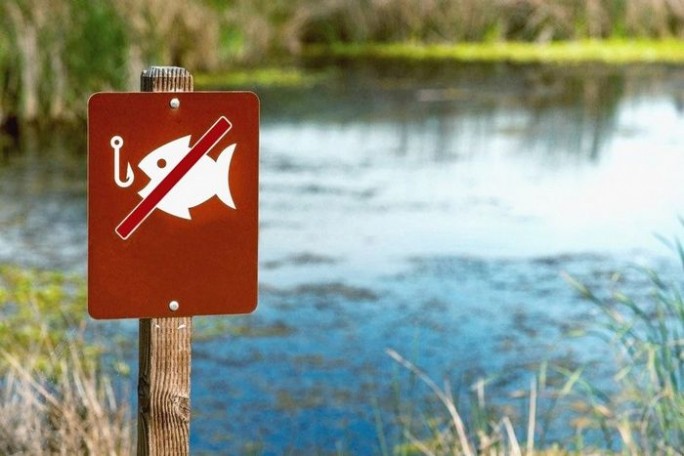 В Мостовском районе введён запрет на любительское рыболовство. Узнайте, где именно