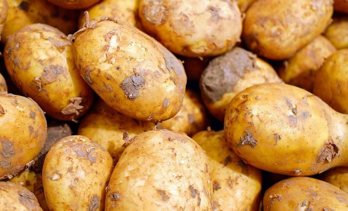 Как использовать картофельные очистки для удобрения растений: советы агрономов