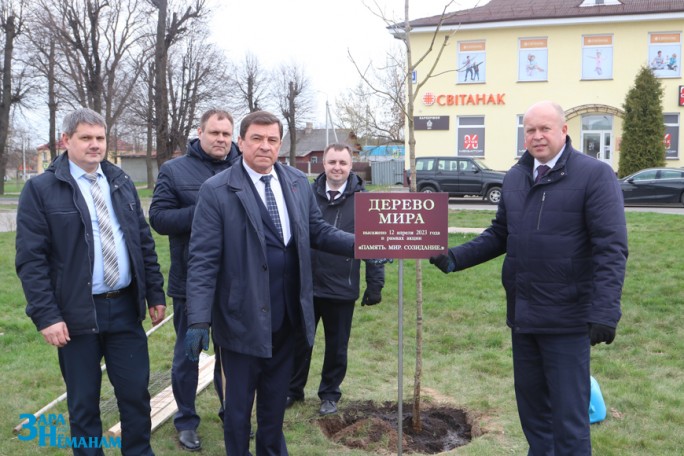 На Мостовщине высажено Дерево Мира и аллея дубов