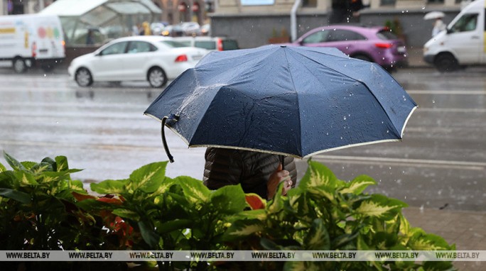 Дожди с грозами и до +24°С будет сегодня в Беларуси