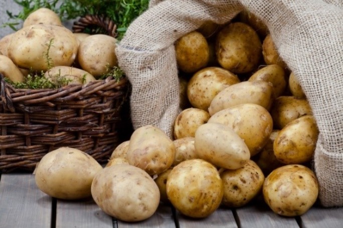 Рекомендации по хранению картофеля урожая 2023 года