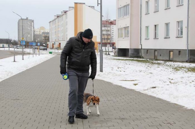 Об определении места для выгула собак на территории города Мосты