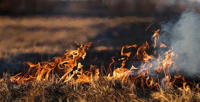 Жгла траву – сожгла постройку. В Принеманье за минувшие выходные произошло 13 возгораний сухой травы