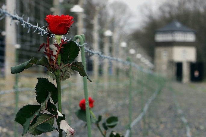 В Беларуси проживает около 8 тыс. бывших узников фашизма: какая господдержка им оказывается