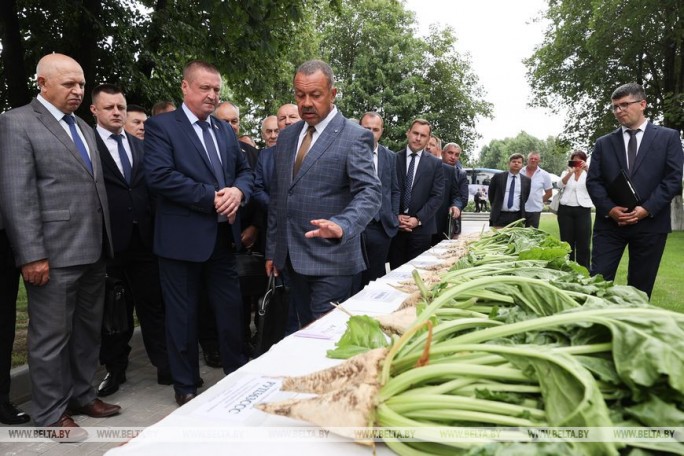 Вице-премьер: урожай сахарной свеклы ожидается выше прошлогоднего